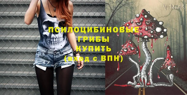 spice Арсеньев