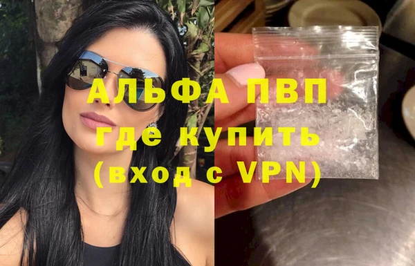 spice Арсеньев