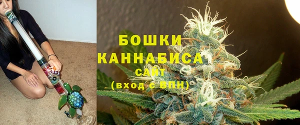 spice Арсеньев